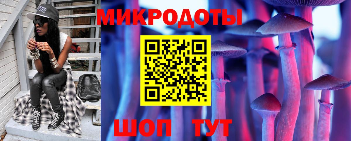 Псилоцибиновые грибы Psilocybe  Вход с VPN  Рассказово 